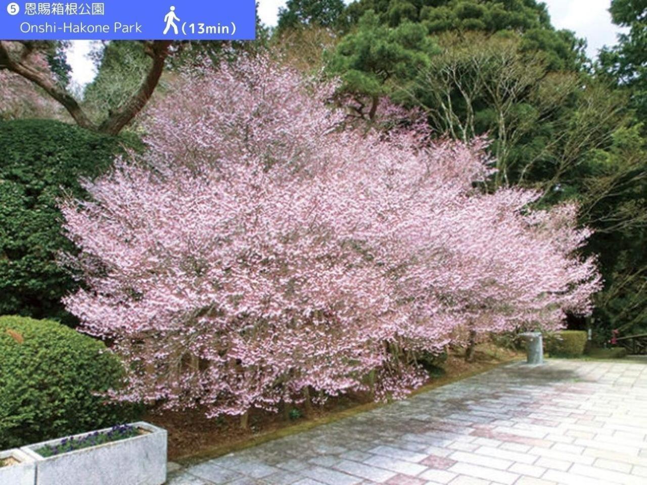 Yoichi Inn هاكوني المظهر الخارجي الصورة